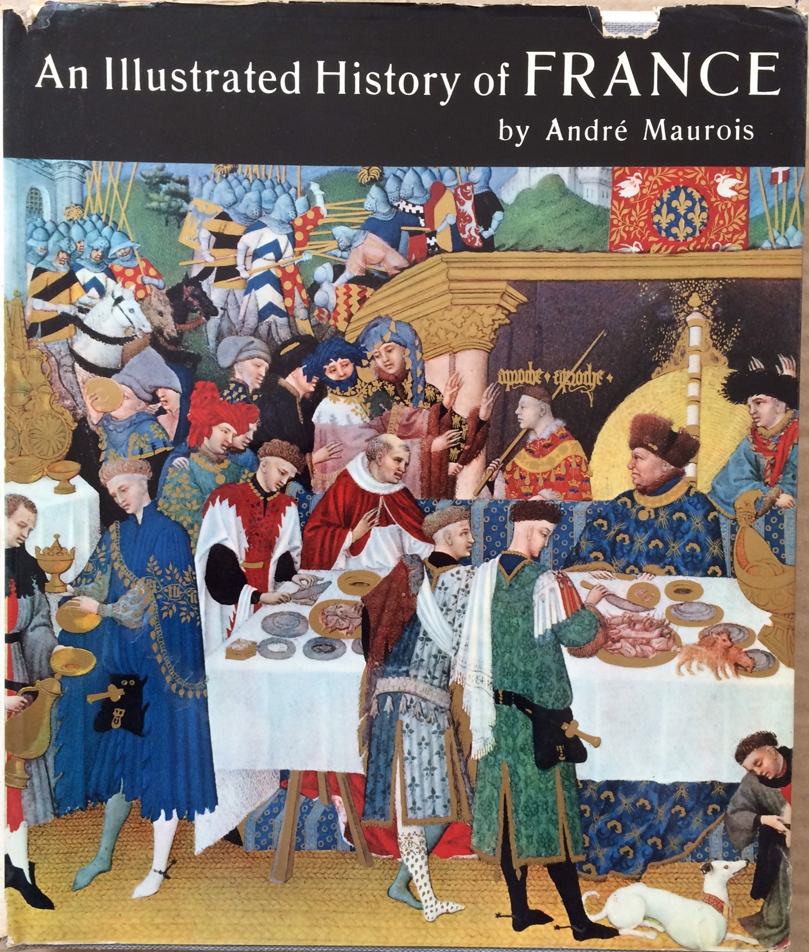 Image for An Illustrated History of France