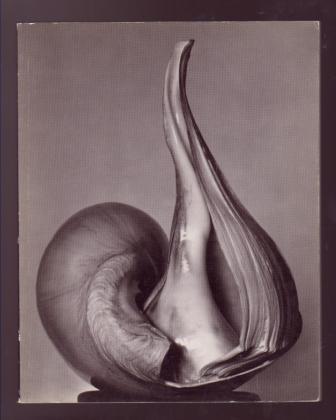 Image for EW:100 - Centennial Essays in Honor of Edward Weston