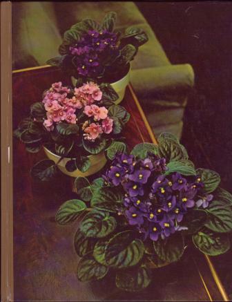 Image for Flowering House Plants