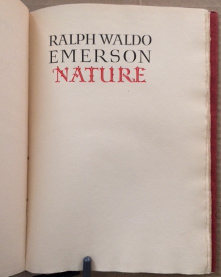 Image for Nature
